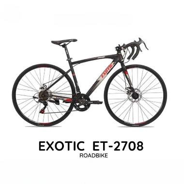 EXOTIC ROAD BIKE ET 2708 HI-TEN 48 GREY