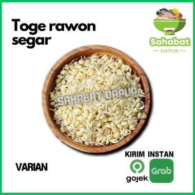 Kecambah / Toge Kecil / Toge Rawon / Toge Baby 250gr - Sahabatdapur 250gr