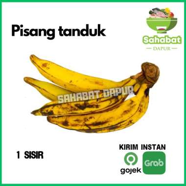 Pisang Tanduk 1 Sisir / Buah Pisang - Sahabatdapur 1 Sisir