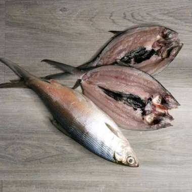 Ikan Bandeng Cabut Duri Frozen - 250-300gr Utuh
