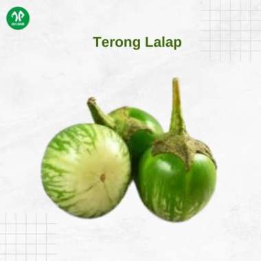 Terong Lalap/1kg
