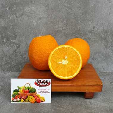 HarvestMoon Sunkist Valencia per dus
