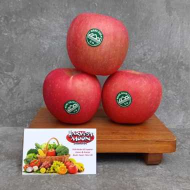 HarvestMoon Apel Fuji Wangshan Premium Per Dus