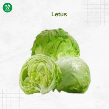 Letus / Lettuce - 1 kg