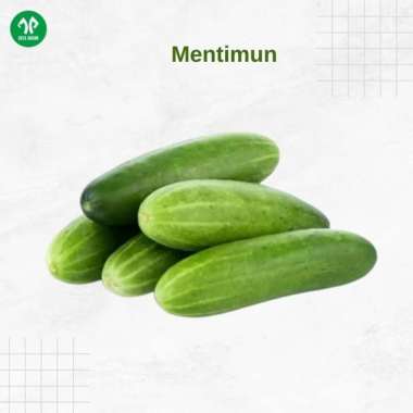 Timun / 1 kg