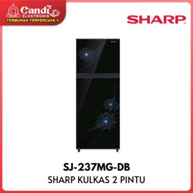 SHARP KULKAS 2 PINTU SJ-237MG-DB / SJ-237MG-DP Warna Dark Pink
