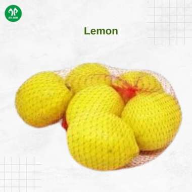 jeruk lemon 1kg