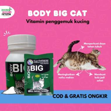 BODY BIG CAT / Penggemuk Kucing / Vitamin Penggemuk 20gr