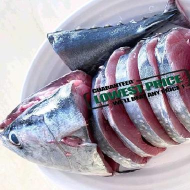 Jagal Online Store - Ikan Tongkol Segar Besar 1Kg Fillet