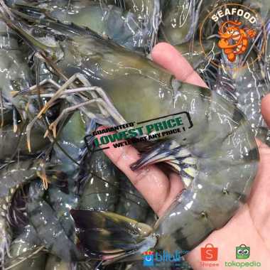 Jagal Online Store - Udang Prawn / Tiger super Jumbo Perkilo
