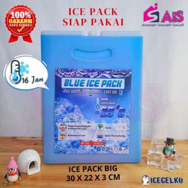 ICE PACK BESAR 2KG 30x22x3cm ICEPACK PENGGANTI DRY ICE PENGGANTI ES BATU ICE PACK AIR COOLER