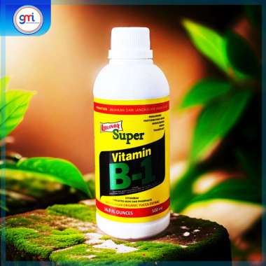 pupuk Vitamin B1 untuk tanaman LIQUINOX SUPER 130 ML kemasan 500 ml