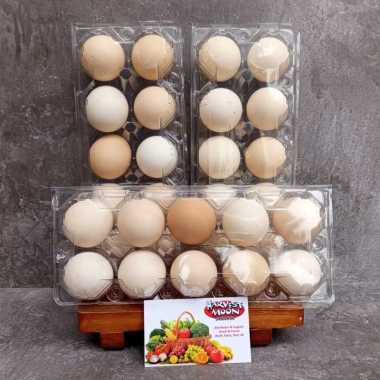 HarvestMoon Telur Ayam Kampung Per Tray