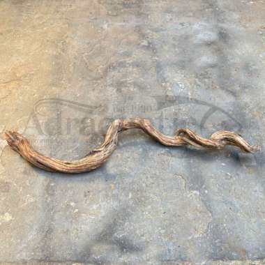 KAYU SANTIGI STIGI CANTIGI HIASAN AQUARIUM AQUASCAPE AKAR DEKORASI RANTING