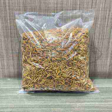 MAGGOT KERING 500GR LARVA BSF MAGOT PAKAN IKAN KOI BURUNG AYAM