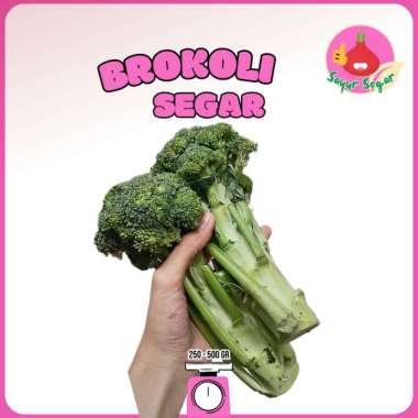 Brokoli 250gr / Sayur Brokoli - Bawangbagus 500gr