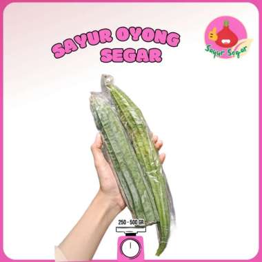 Oyong 500gr / Oyong Gambas / Sayur Oyong - Bawangbagus 250gr