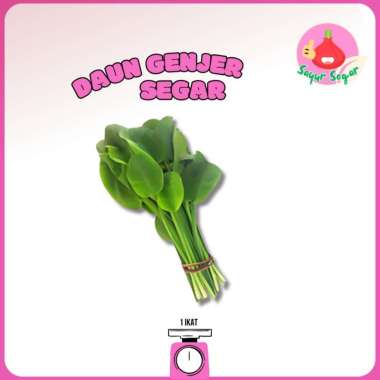 Daun Genjer 1 Ikat / Sayur Genjer / Sayur Segar - Bawangbagus