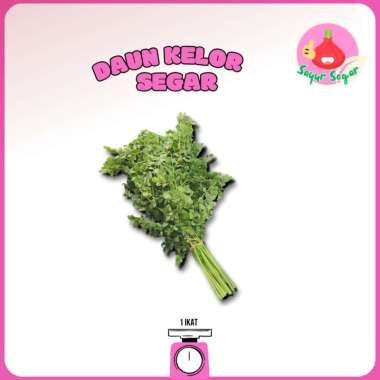 Sayur Segar - Daun Kelor Segar/Moringa Leaf 1 Ikat