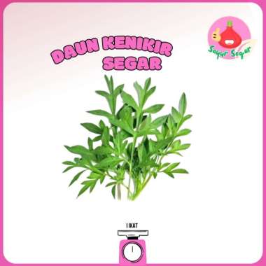 Daun Kenikir 1ikat / Sayur Kenikir - Bawangbagus