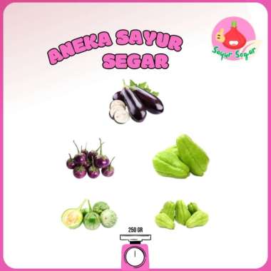 Terong Ungu / Terong Lalap / Labu Siam / Labu Siam Baby / Labu Kuning - Bawangbagus Labu Air 1 Buah