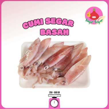 Cumi Segar 500gr / Ikan Cumi / Ikan Segar - Bawangbagus 500gr