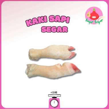 Sayur Segar - Kaki Sapi Segar 1 pcs / Foot Cow