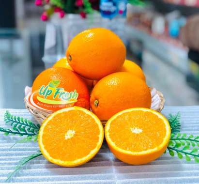 JERUK SUNKIST NAVEL CINA