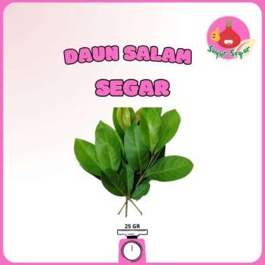 Daun Salam 25gr / Bumbu Dapur / Bumbu Masak - Bawangbagus