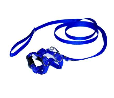 Harnes Musang dan sugar glider 1cm