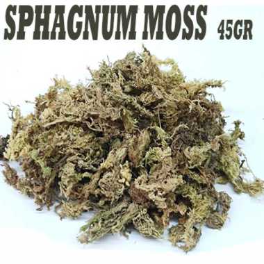 vermiculite sphagnum moss perlite alas kandang media tanam penetasan SPHAGNUM MOSS
