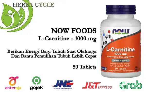 Jual Now Food L Carnitine 1000 Mg 100 Tab Now Carnitine Ori Usa Naik Energi  Di Seller Herba Cycle - Cideng, Kota Jakarta Pusat