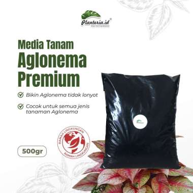 Media Tanam Aglonema Premium Organik Siap Pakai