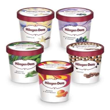 Haagen-Dazs Ice Cream Pint 473ml Ukuran Besar Matcha Green Tea