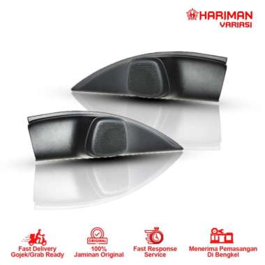 PANEL TWEETER BRIO/HRV