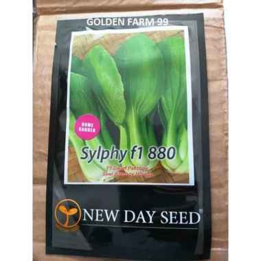 New day seed Benih Pakcoy Sylphy F1