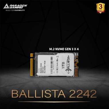 SSD PARADOX GAMING BALLISTA 2242 | M.2 nVME 2242 GEN3X4 512GB