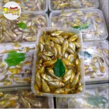 Ikan Wader Baby Fish Bumbu Beku Frozen 500 gram