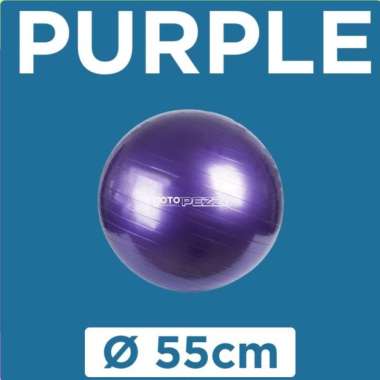 Goto Pezzi Gym Ball Bola Yoga Ibu Hamil Senam Olahraga Pilates Fitness PURPLE 55CM