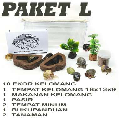 PAKET MAINAN EDUKASI ANAK SMALL KELOMANG UMANG KEONG HEWAN PELIHARAAN KELOMANG DARAT HERMIT CRAB PAK