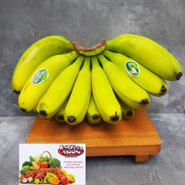 HarvestMoon Pisang Sunpride per Dus