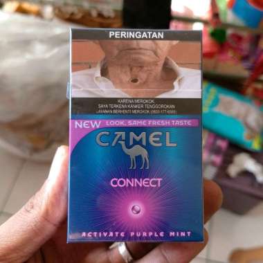 Camel Activate Purple Mint 20 batang