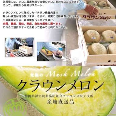 melon Jepang original jepang crown Japanese fruits RS Riansyah