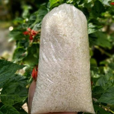 gula pasir 1/2 kg