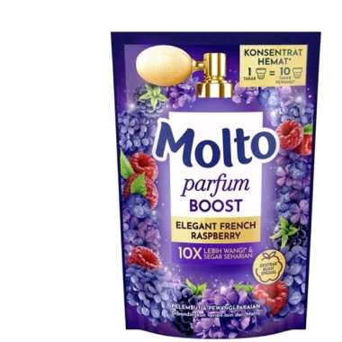 Molto Eau de Parfum Pewangi Pakaian 550 ml