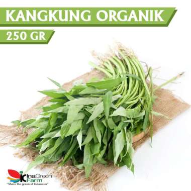 Sayur Kangkung Darat Organik Inagreen 250 Gram Bandung