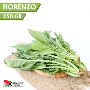 Sayur Horenzo / Bayam Jepang Organik Inagreen 250 Gram Bandung