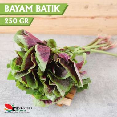 Sayur Bayam Batik Organik Inagreen 250 Gram Bandung