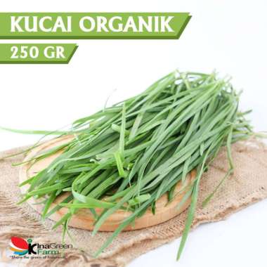 Sayur Kucai Organik Inagreen 250 Gram Bandung