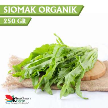 Sayur Siomak Organik Inagreen 250 Gram Bandung